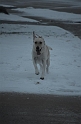 Kids_X-Mas-2012 (105)